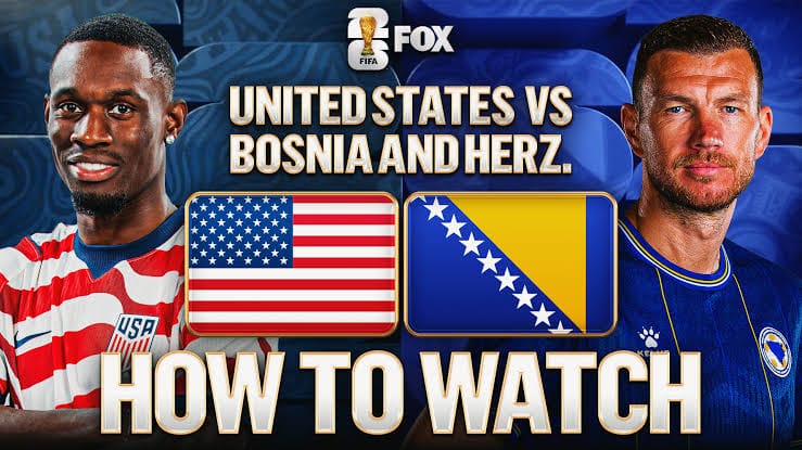 WORLD CUP USA VS BOSNIA